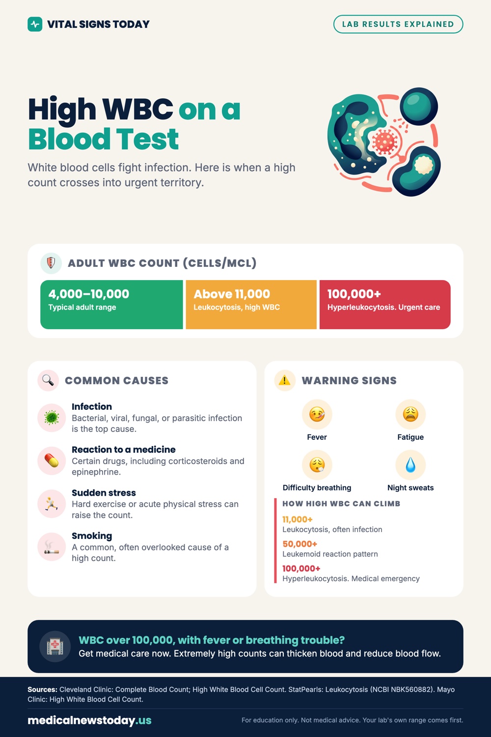 High WBC on a Blood Test infographic: White blood cells fight infection. Here is when a high count crosses into urgent territory.