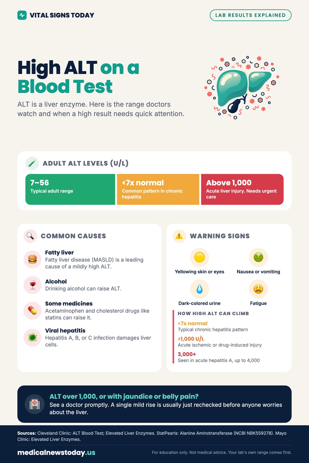 High ALT on a Blood Test infographic: ALT is a liver enzyme. Here is the range doctors watch and when a high result needs quick attention.