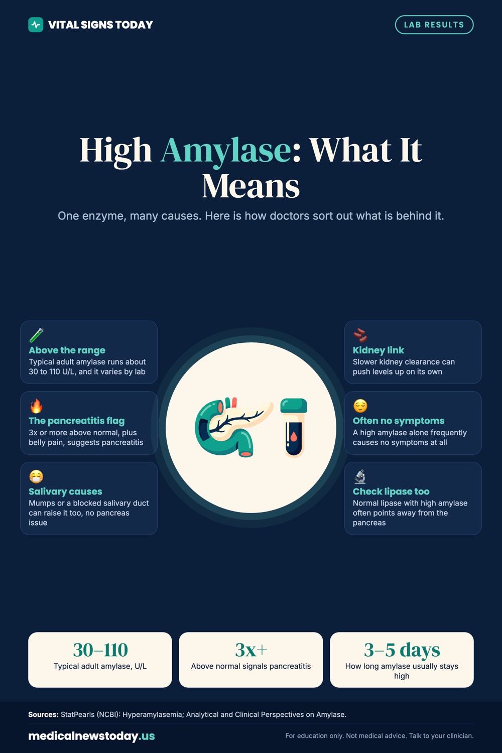 High Amylase: What It Means infographic: One enzyme, many causes. Here is how doctors sort out what is behind it.