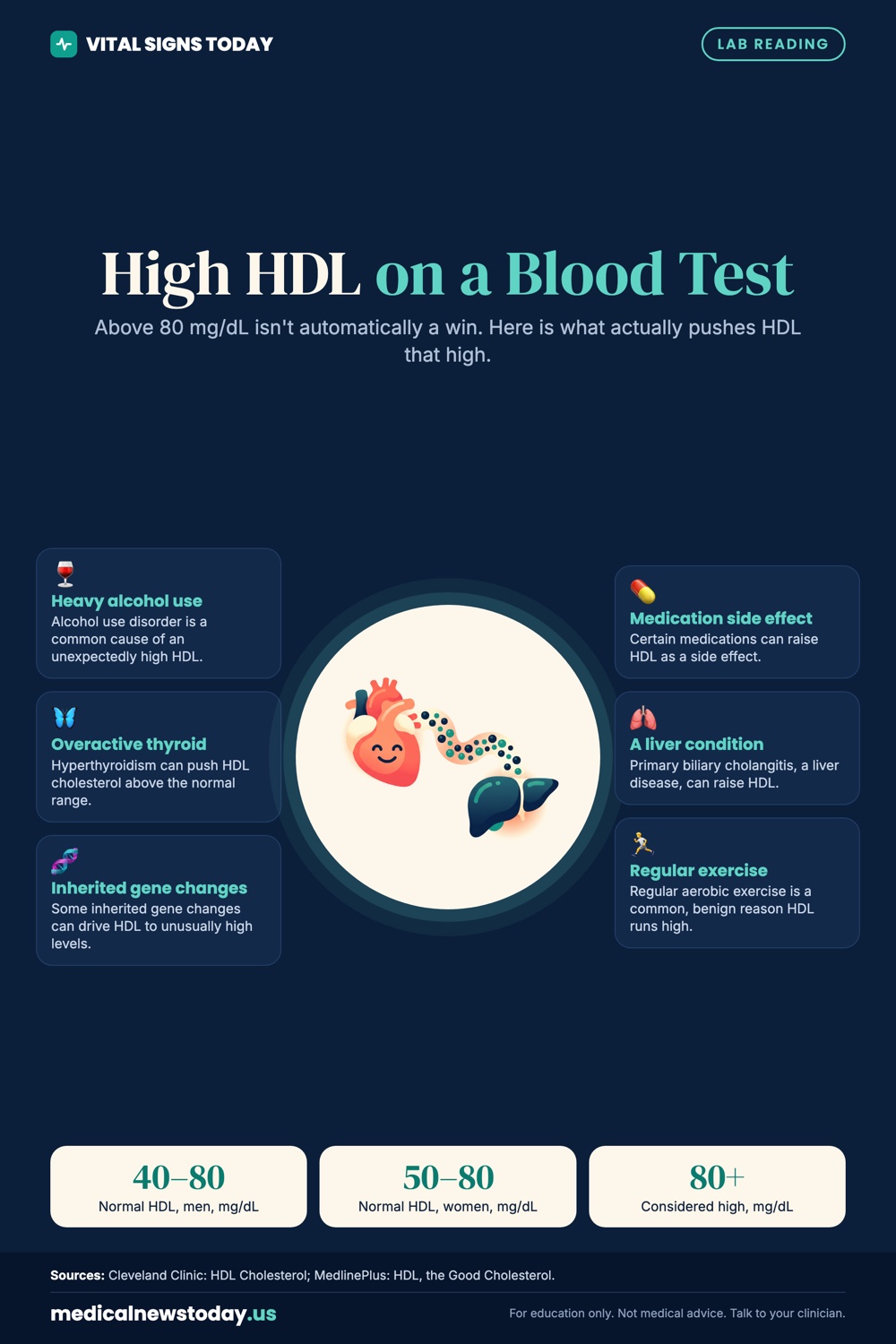 High HDL on a Blood Test infographic: Above 80 mg/dL isn't automatically a win. Here is what actually pushes HDL that high.