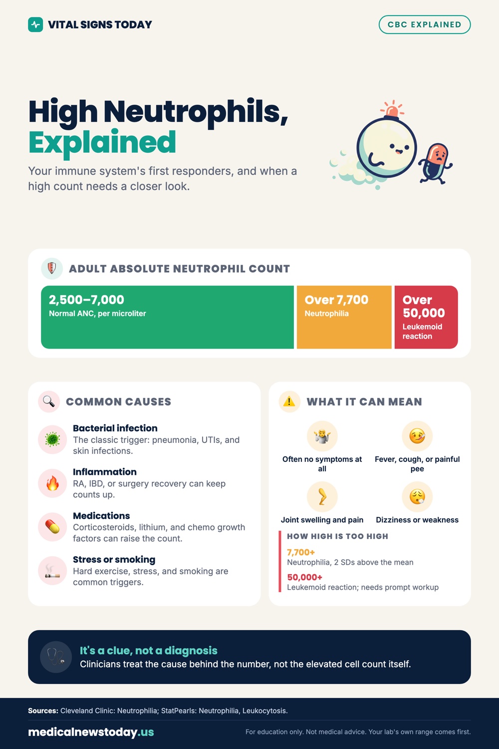 High Neutrophils, Explained infographic: Your immune system's first responders, and when a high count needs a closer look.