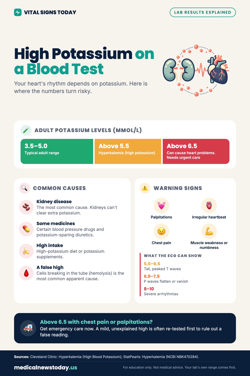 High Potassium on a Blood Test infographic: Your heart's rhythm depends on potassium. Here is where the numbers turn risky.