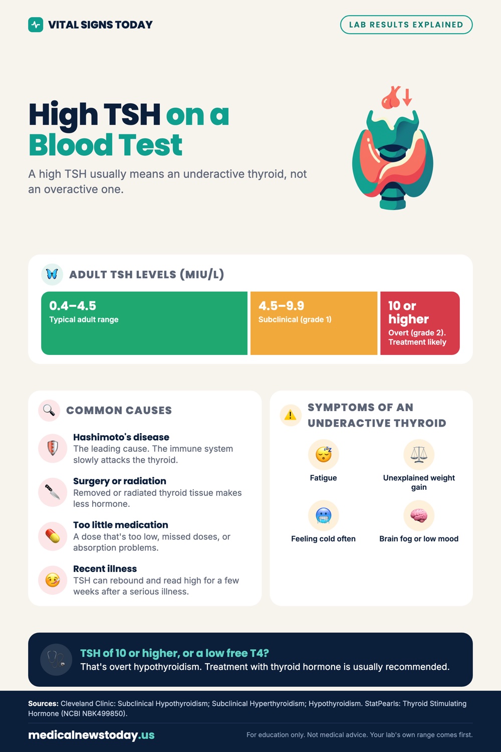 High TSH on a Blood Test infographic: A high TSH usually means an underactive thyroid, not an overactive one.