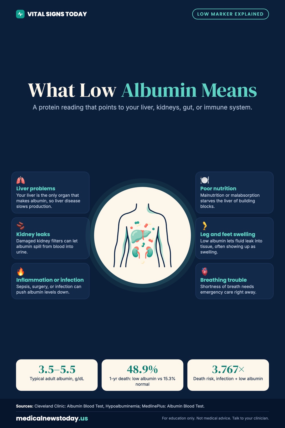 What Low Albumin Means infographic: A protein reading that points to your liver, kidneys, gut, or immune system.