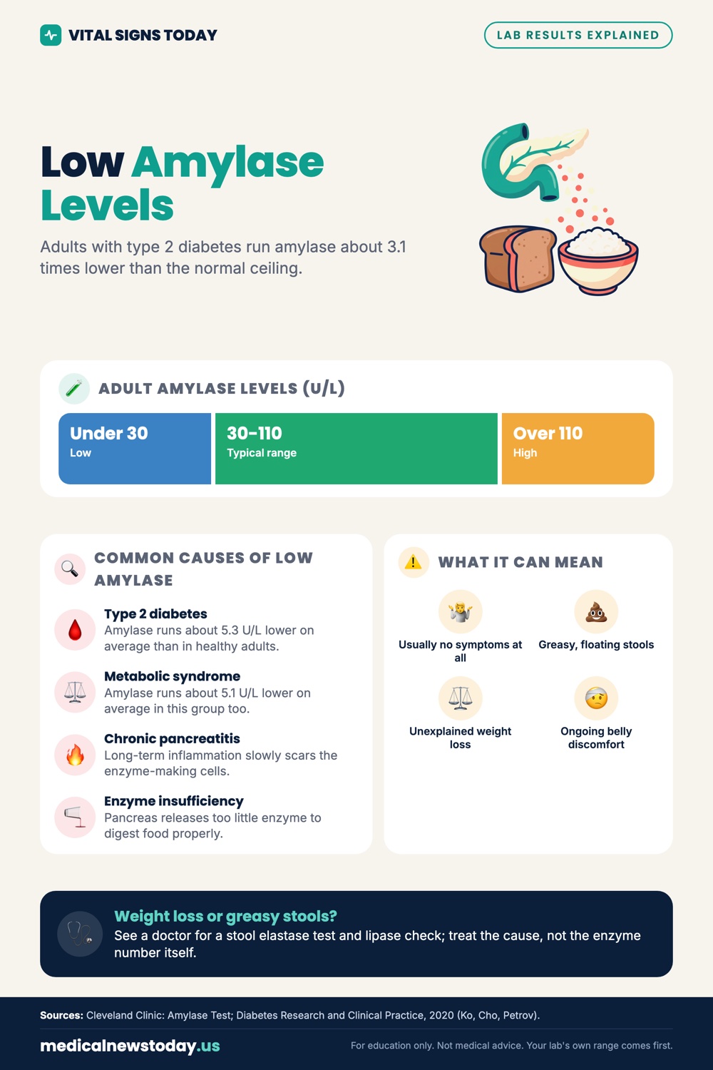 Low Amylase Levels infographic: Adults with type 2 diabetes run amylase about 3.1 times lower than the normal ceiling.