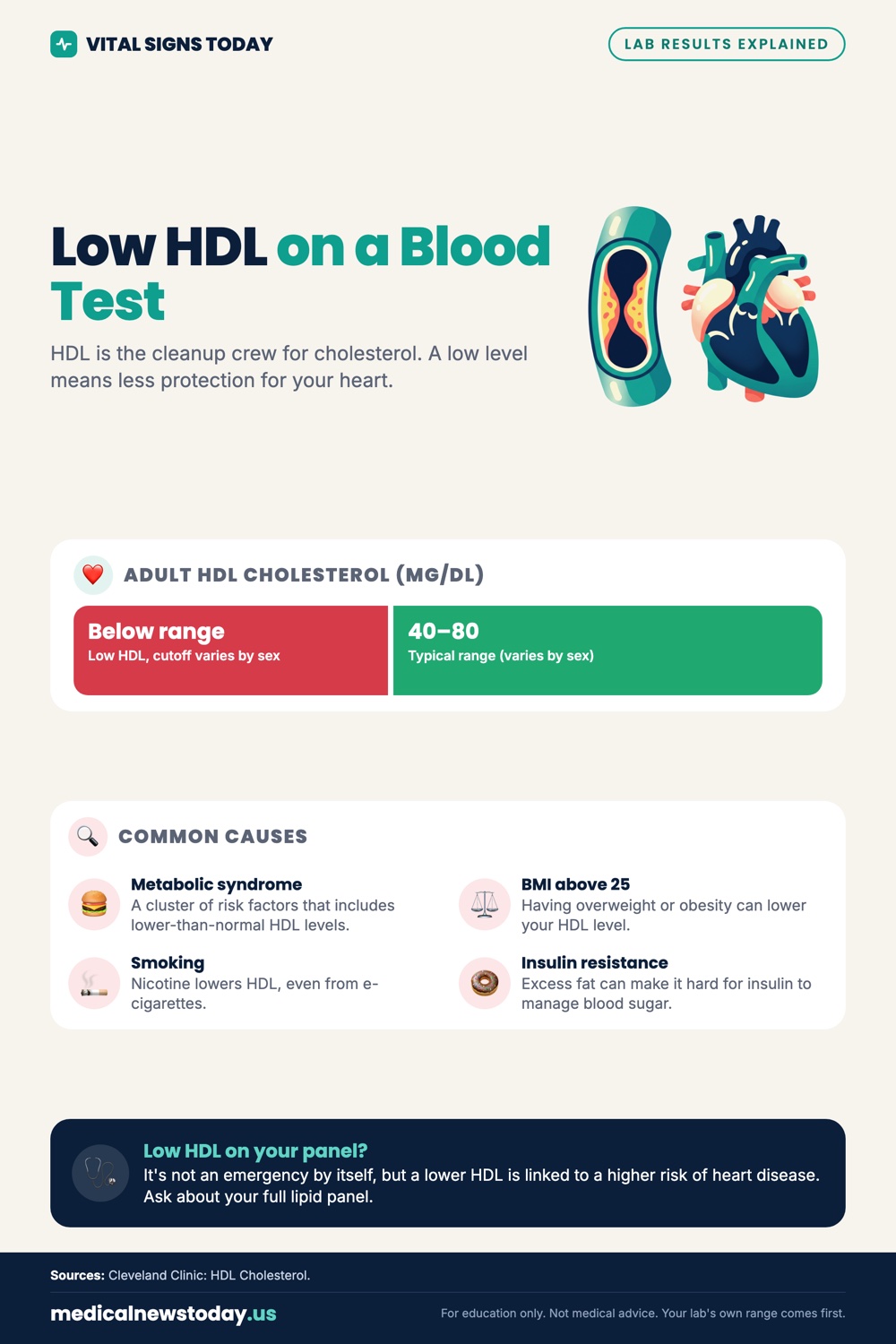 Low HDL on a Blood Test infographic: HDL is the cleanup crew for cholesterol. A low level means less protection for your heart.