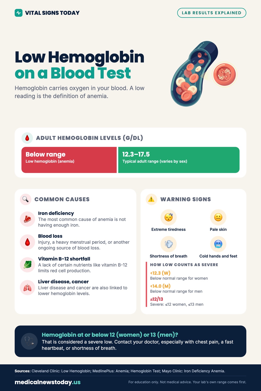 Low Hemoglobin on a Blood Test infographic: Hemoglobin carries oxygen in your blood. A low reading is the definition of anemia.