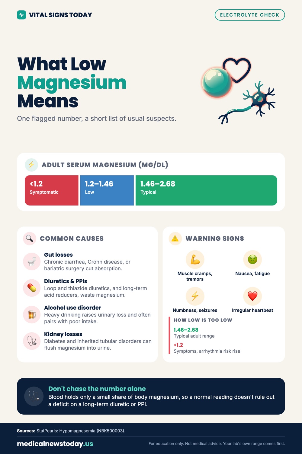 What Low Magnesium Means infographic: One flagged number, a short list of usual suspects.