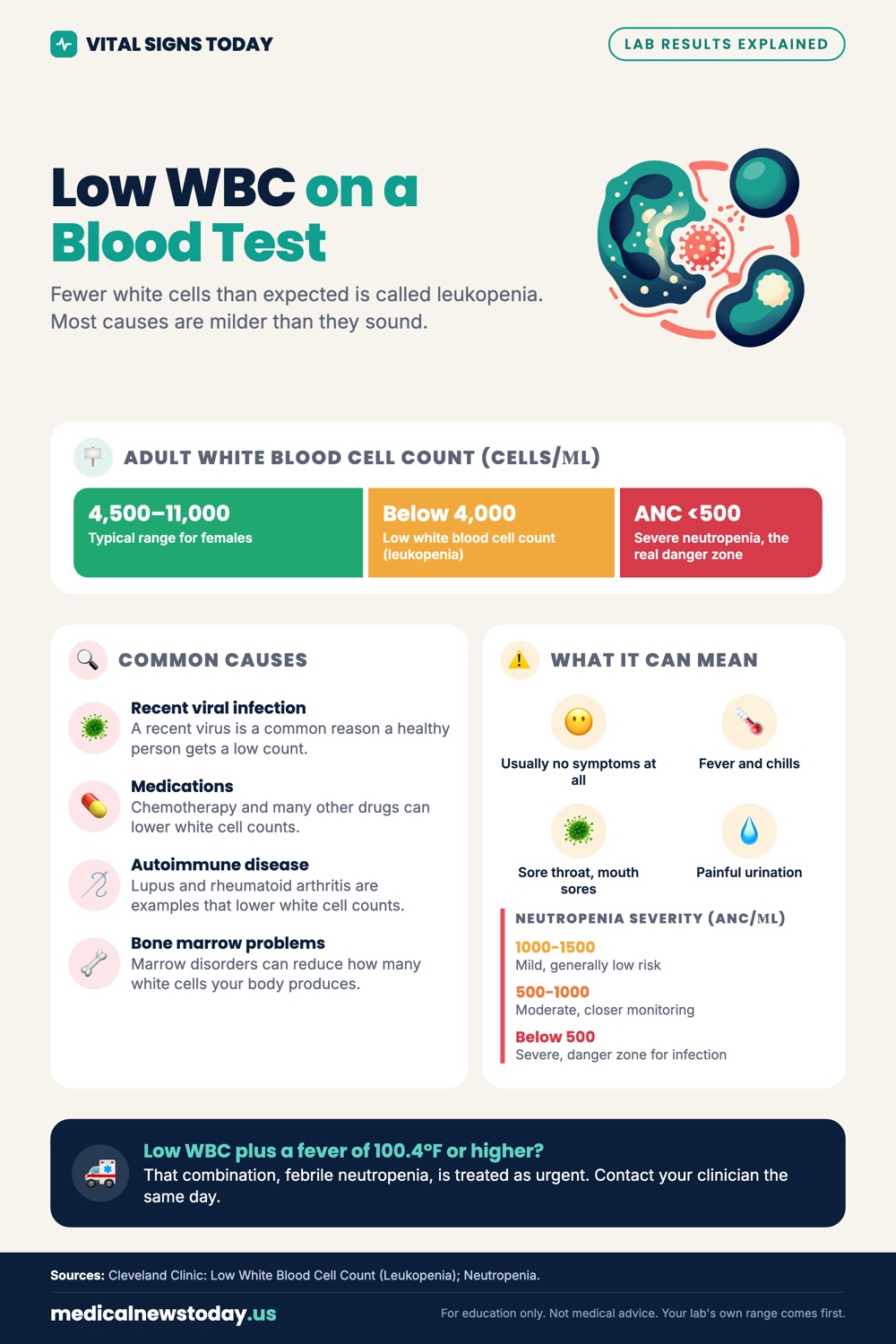 Low WBC on a Blood Test infographic: Fewer white cells than expected is called leukopenia. Most causes are milder than they sound.