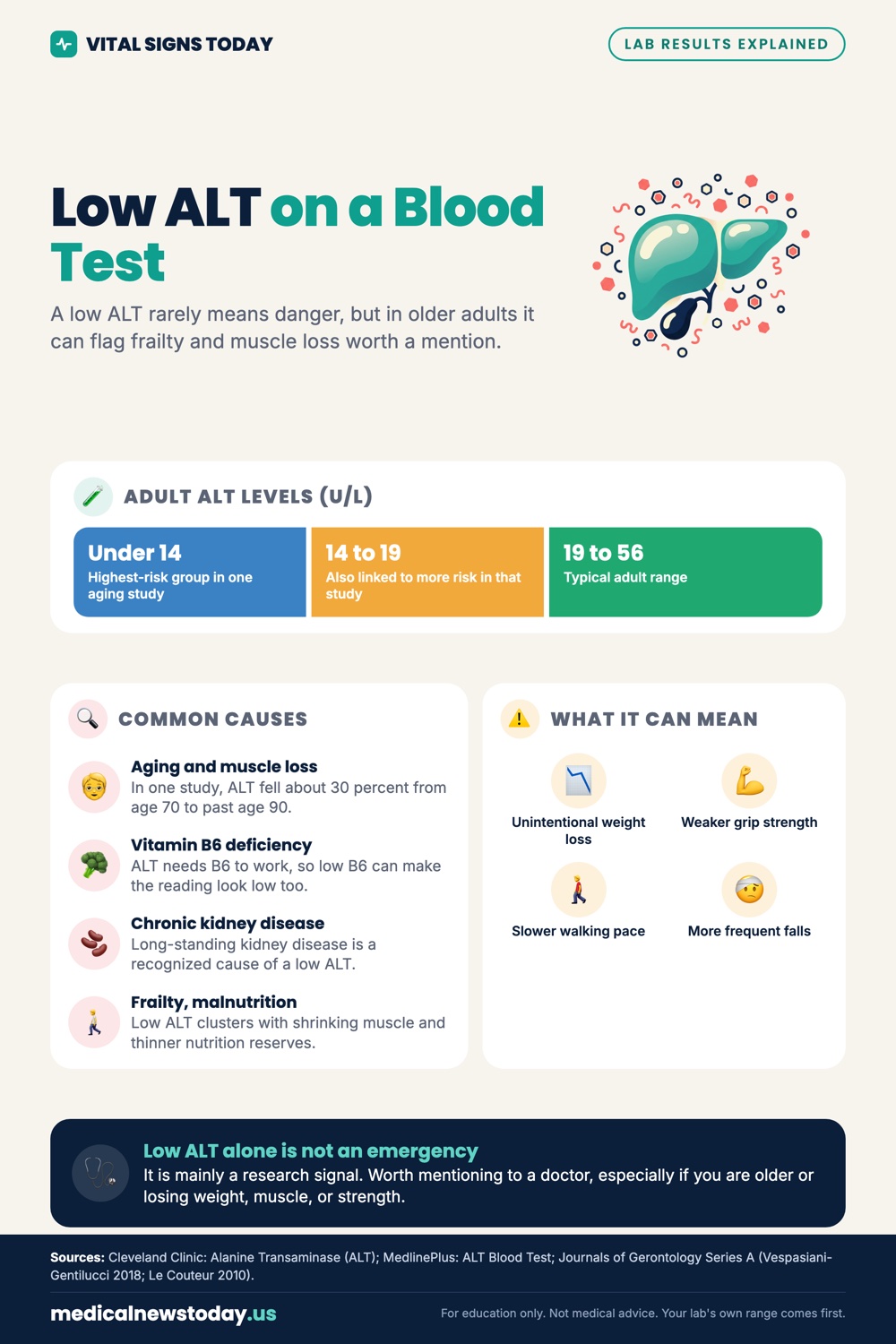 Low ALT on a Blood Test infographic: A low ALT rarely means danger, but in older adults it can flag frailty and muscle loss worth a mention.