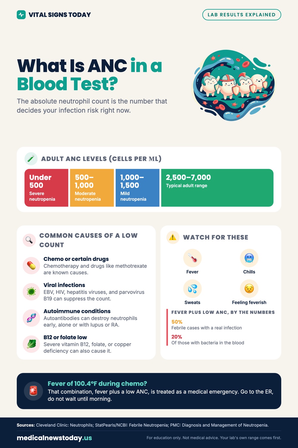 What Is ANC in a Blood Test? infographic: The absolute neutrophil count is the number that decides your infection risk right now.