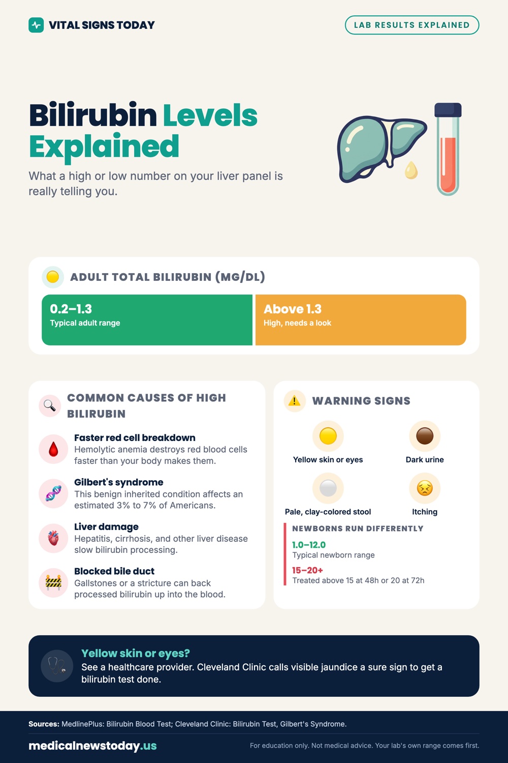 Bilirubin Levels Explained infographic: What a high or low number on your liver panel is really telling you.