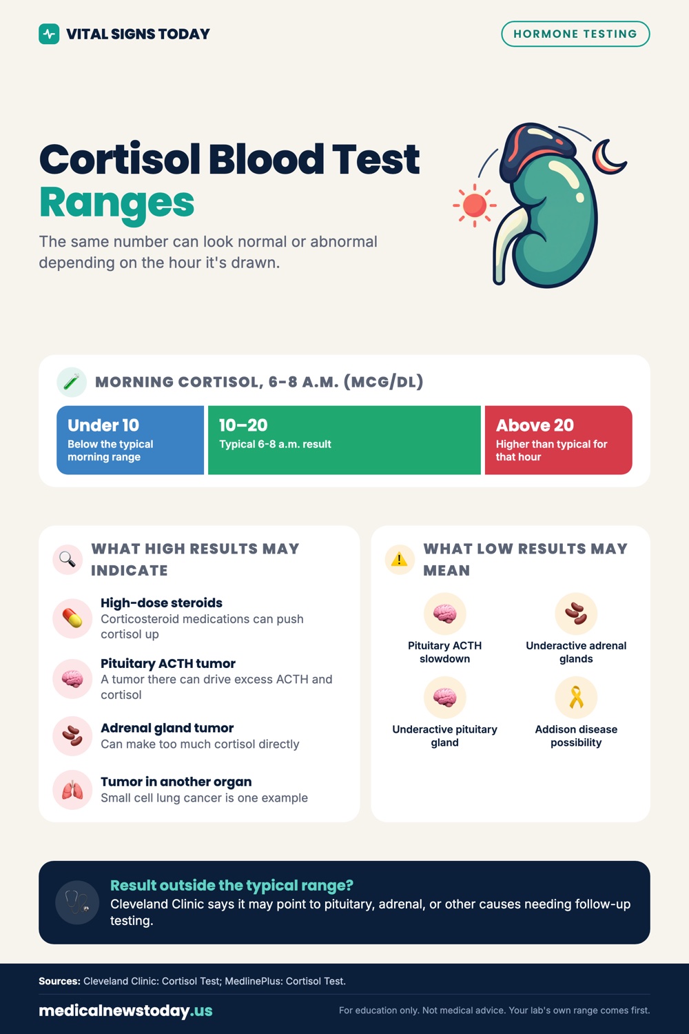 What Is Cortisol in a Blood Test? Normal Range and What Results Mean ...