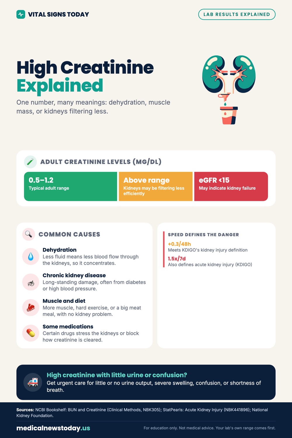 High Creatinine Explained infographic: One number, many meanings: dehydration, muscle mass, or kidneys filtering less.