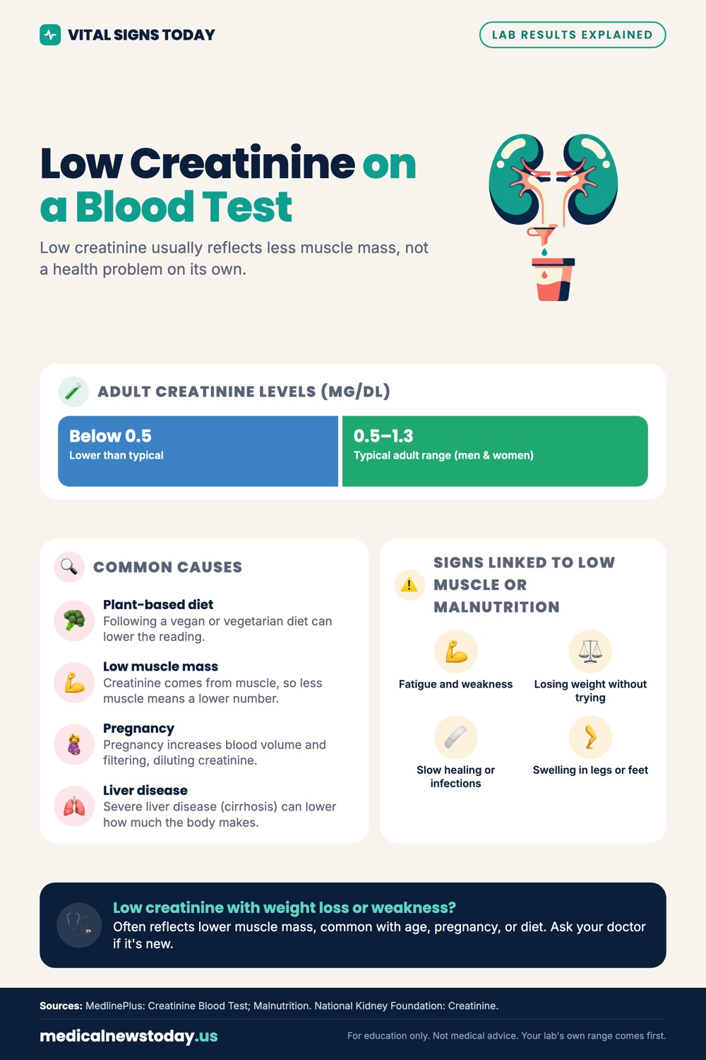 Low Creatinine on a Blood Test infographic: Low creatinine usually reflects less muscle mass, not a health problem on its own.
