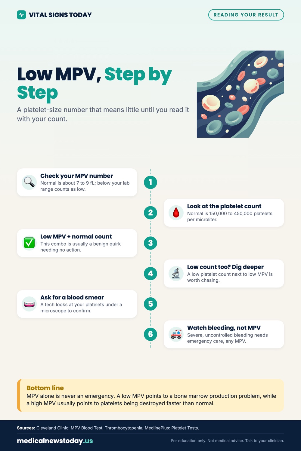 Low MPV, Step by Step infographic: A platelet-size number that means little until you read it with your count.
