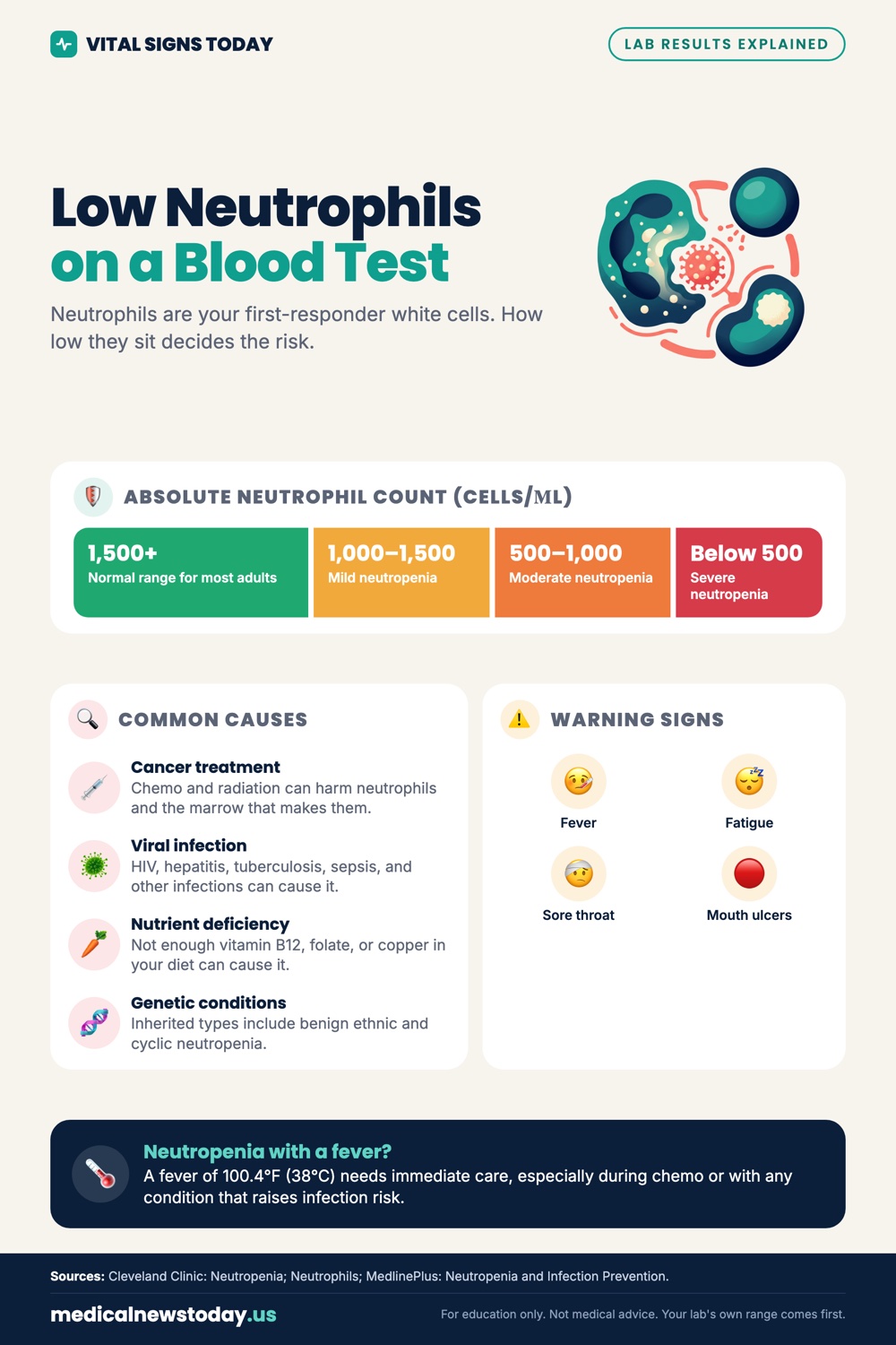 Low Neutrophils on a Blood Test infographic: Neutrophils are your first-responder white cells. How low they sit decides the risk.