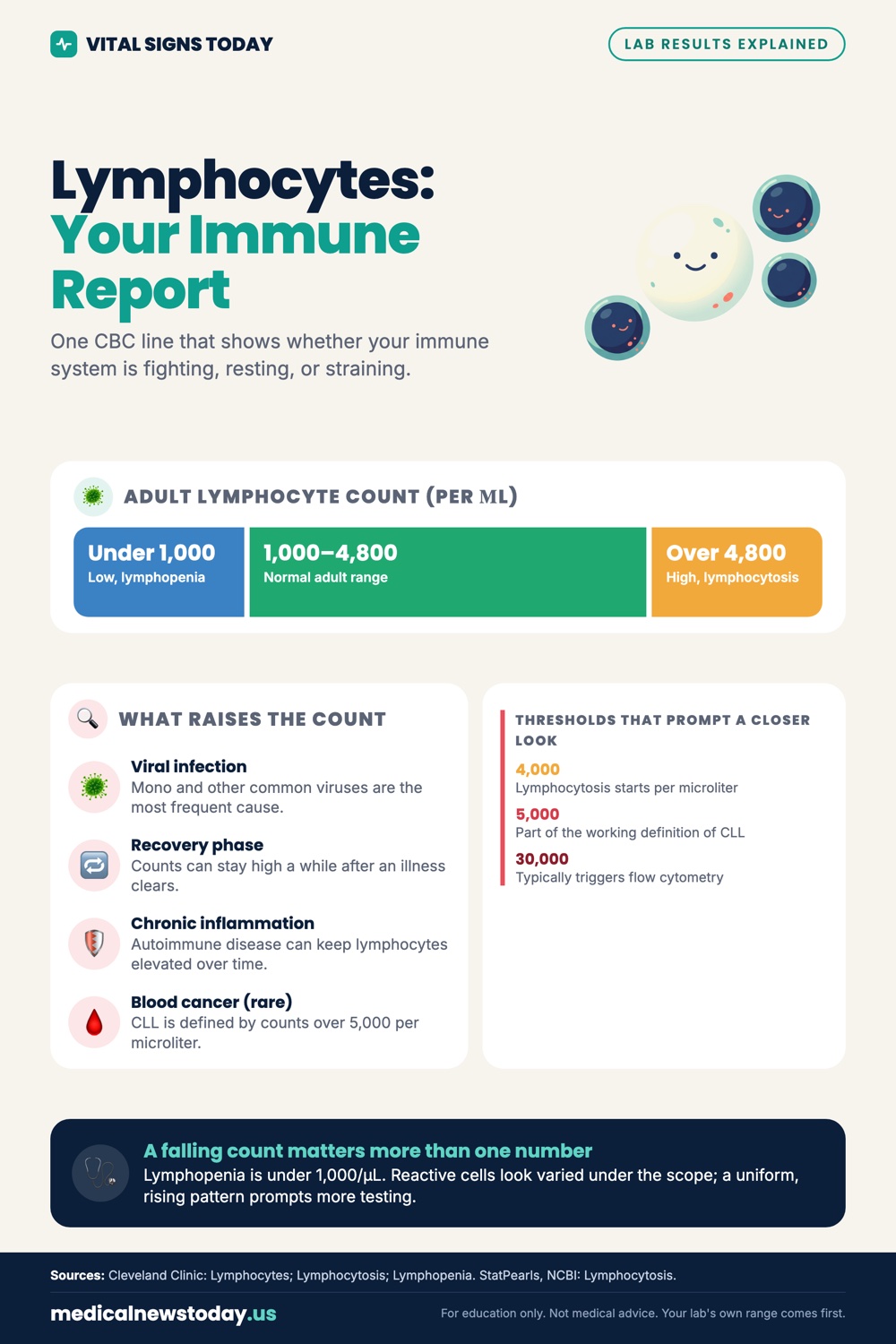 Lymphocytes: Your Immune Report infographic: One CBC line that shows whether your immune system is fighting, resting, or straining.