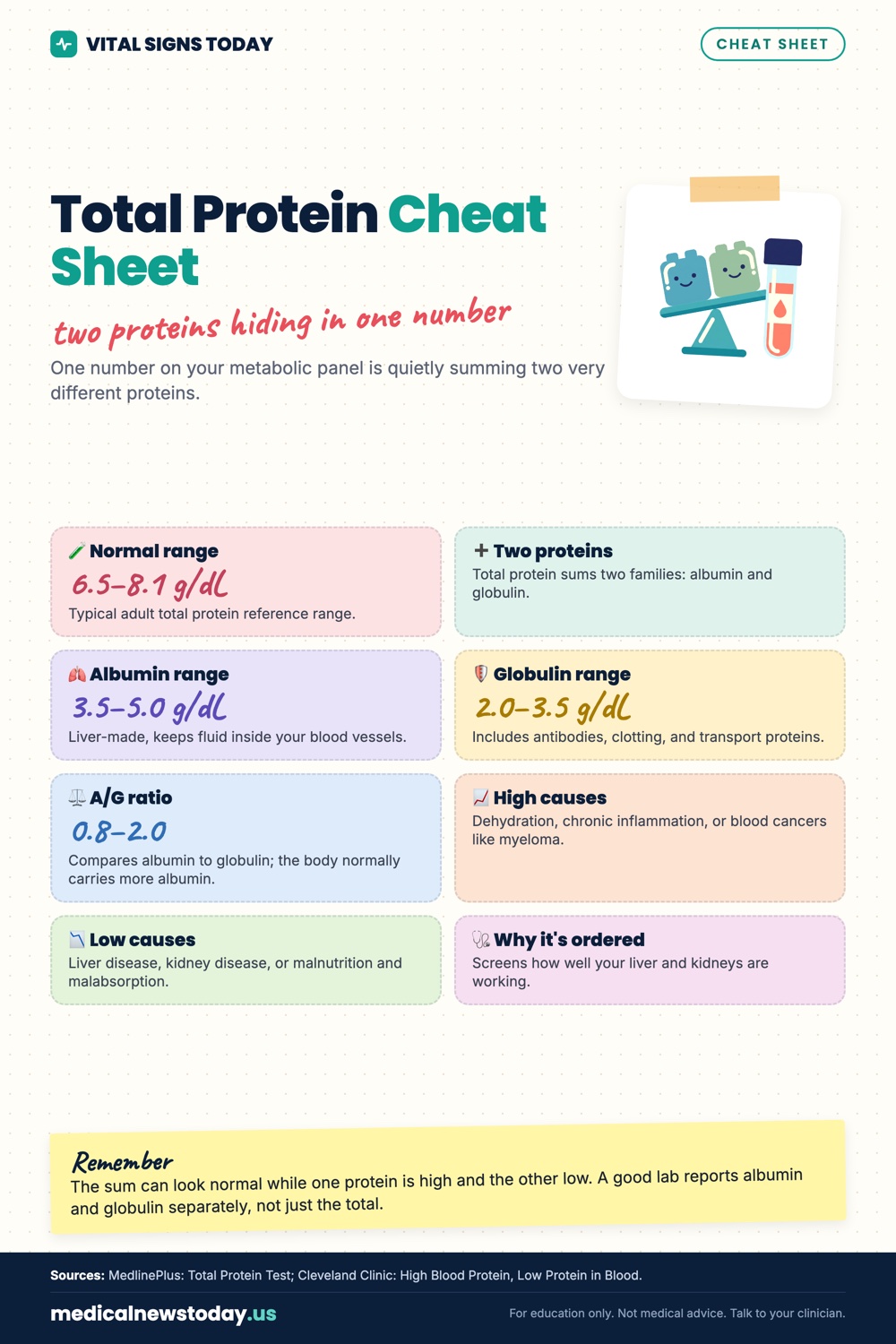 Total Protein Cheat Sheet infographic: One number on your metabolic panel is quietly summing two very different proteins.