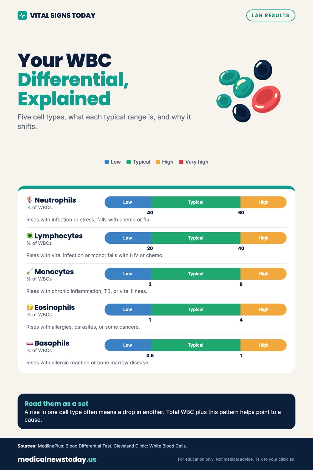 Your WBC Differential, Explained infographic: Five cell types, what each typical range is, and why it shifts.